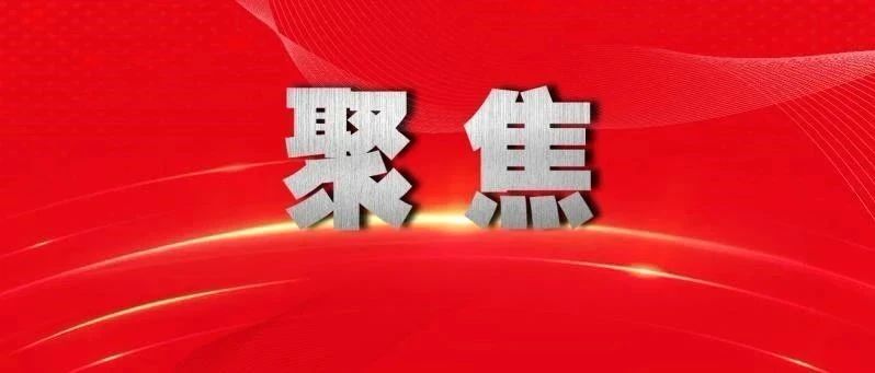 “数”读二十大报告